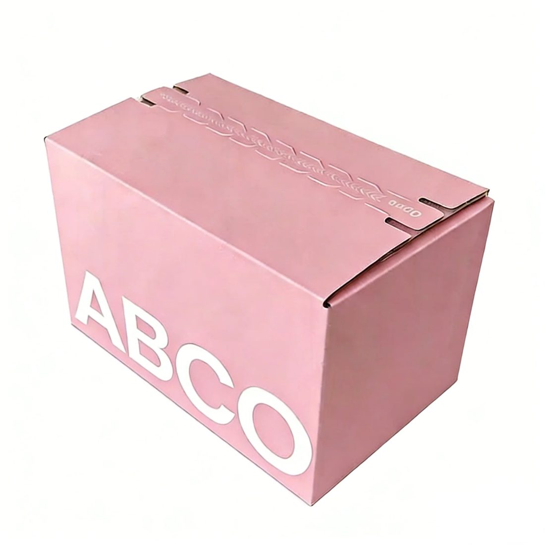 Faltbar Ultra Hard Zipper Airplane Box